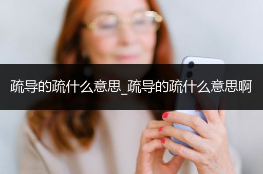 疏导的疏什么意思_疏导的疏什么意思啊